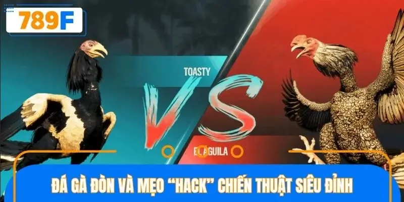 Cẩm nang chơi đá gà đòn bất bại