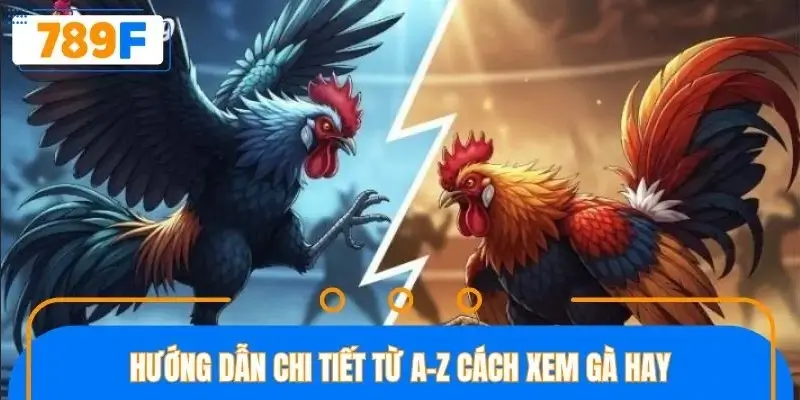 Chi tiết cách chọn chiến kê mạnh, thắng mọi trận