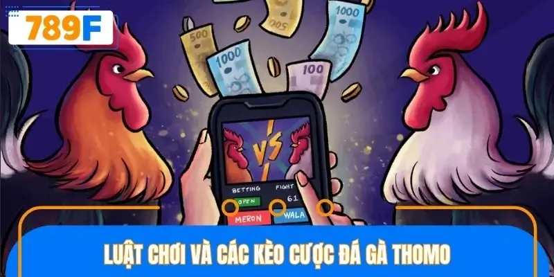 Chi tiết luật chơi cần nắm rõ trước khi đặt kèo