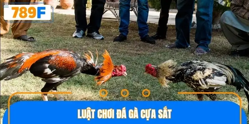 Chi tiết luật chơi tạo nên điểm khác biệt so với hình thức khác