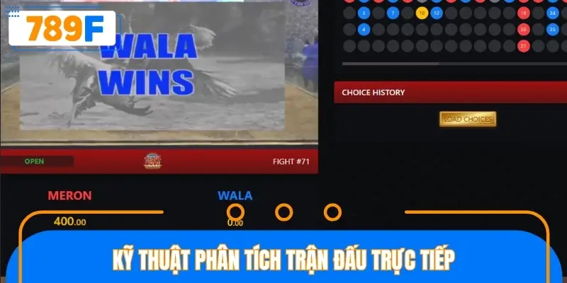 Mẹo đặt cược đá gà sử dụng kỹ thuật phân tích trận đấu