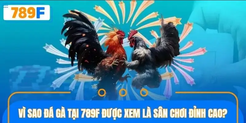 Sàn đấu gà chinh phục hàng triệu người chơi