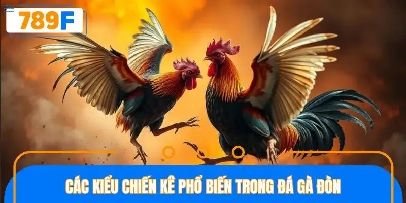 Trận đấu gà đòn quy tụ nhiều giống chiến kê
