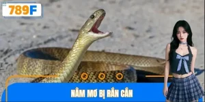 Nằm mơ bị rắn cắn